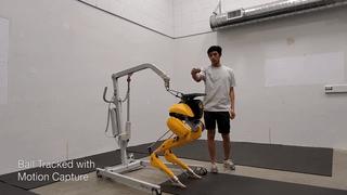 uc伯克利,uc伯克利学习