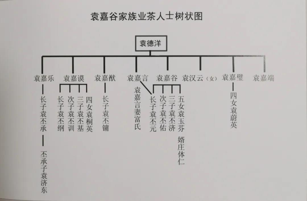 百年宋聘号,百年宋聘号普洱茶价格