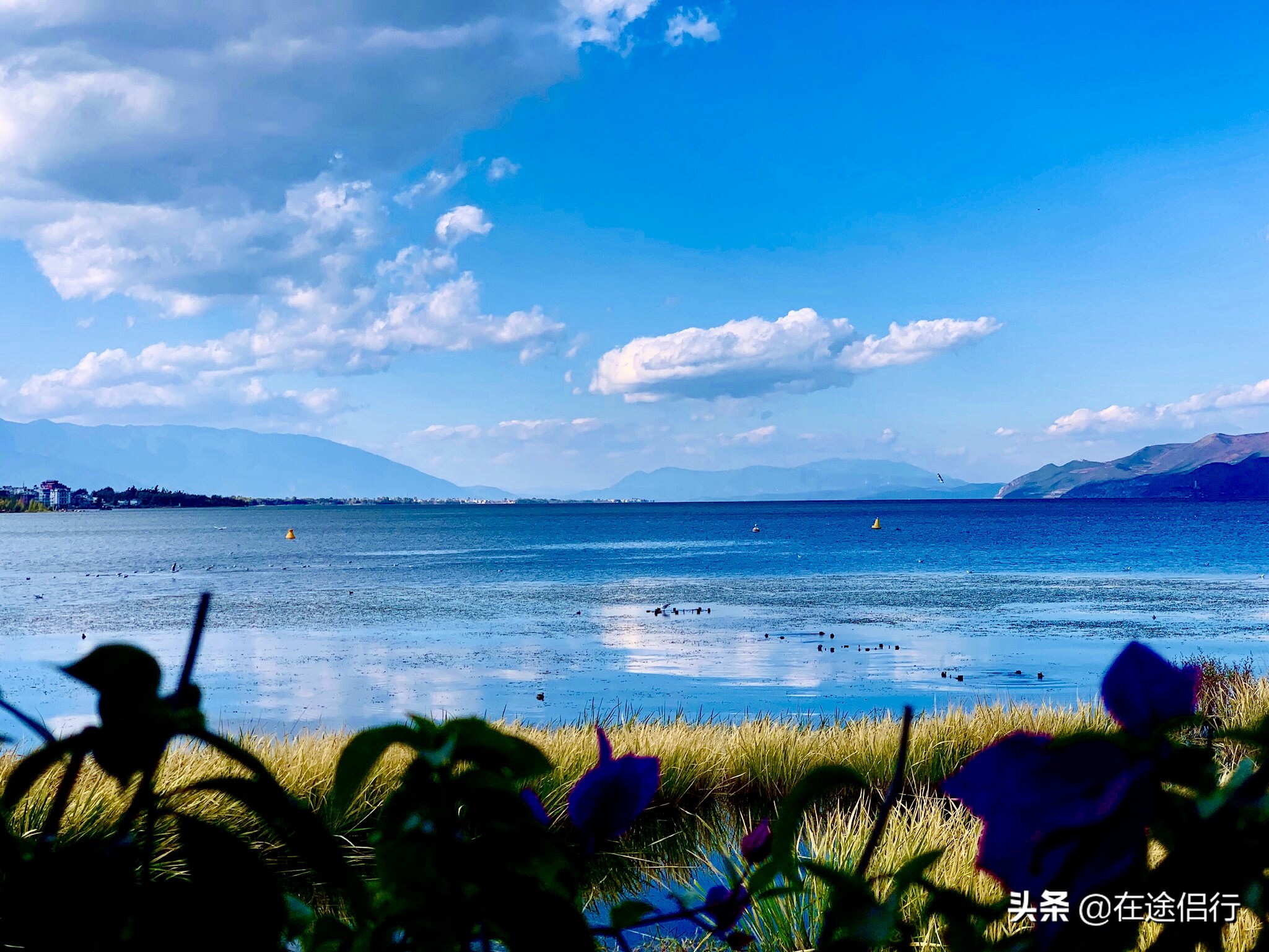 大理洱海恢复了吗,2019年洱海整治好了吗