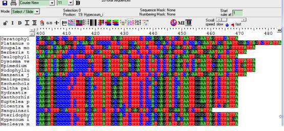 手把手教你构建漂亮的进化树,系统进化树怎么调试节点