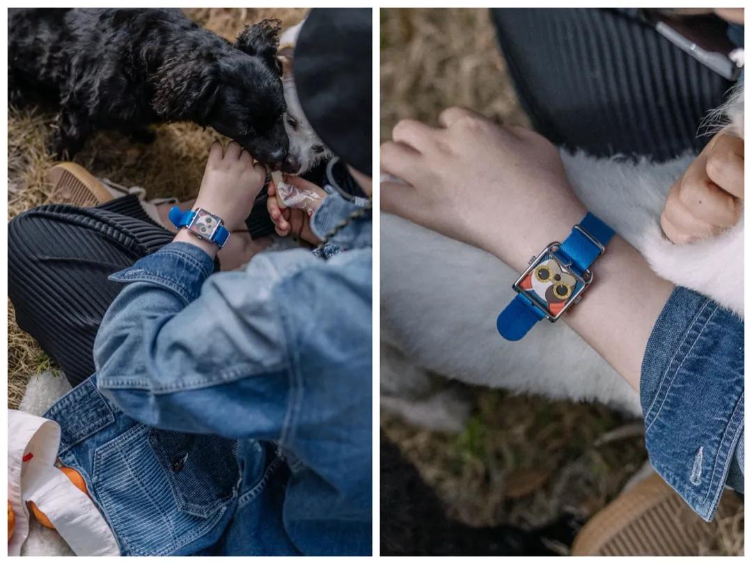 夏日的浪漫洗衣液香味持久留香,真丝护色洗衣液桑蚕丝专用