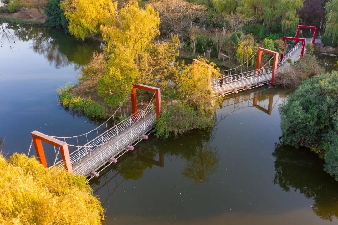 合肥市政务区的天鹅湖介绍,合肥天鹅湖设计