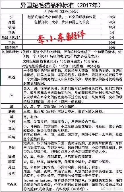 加菲猫品相怎么看,加菲是什么品相