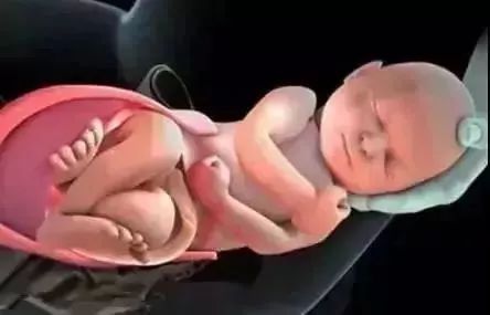 产道那么小婴儿是怎么出来的呢,孩子头那么大是怎么出产道的