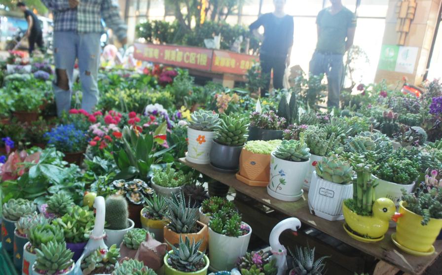 逛消博会体验诗意的栖居,逛消博会游海口