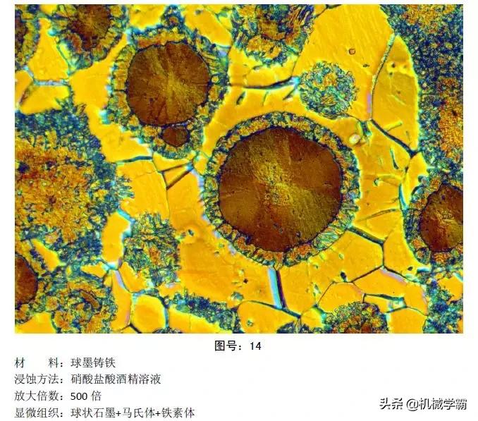 马氏体、奥氏体、珠光体，20种材料彩色金相，带你轻松识别