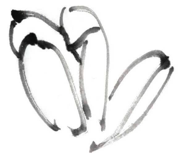 国画刘存惠荷花画法全视频,国画山水画教学视频荷花画法