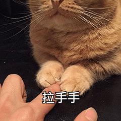 word神操作快速有效,word里的小技巧还不赶紧看过来