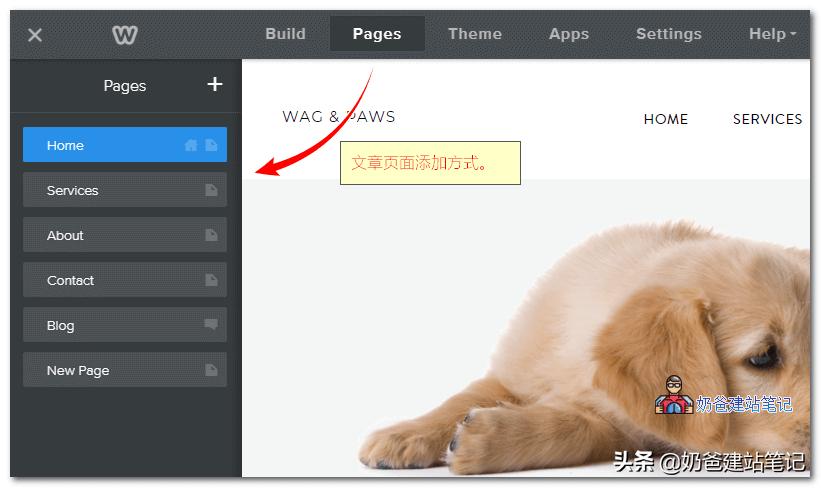 怎么入驻whlee跨境电商平台,跨境电商独立站选品视频教程
