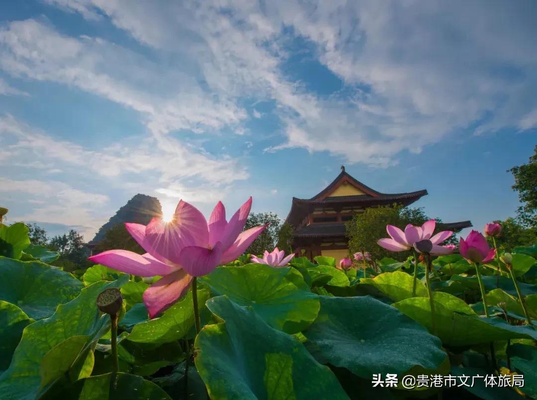 贵港爬山推荐景点,贵港爬山推荐景点有哪些