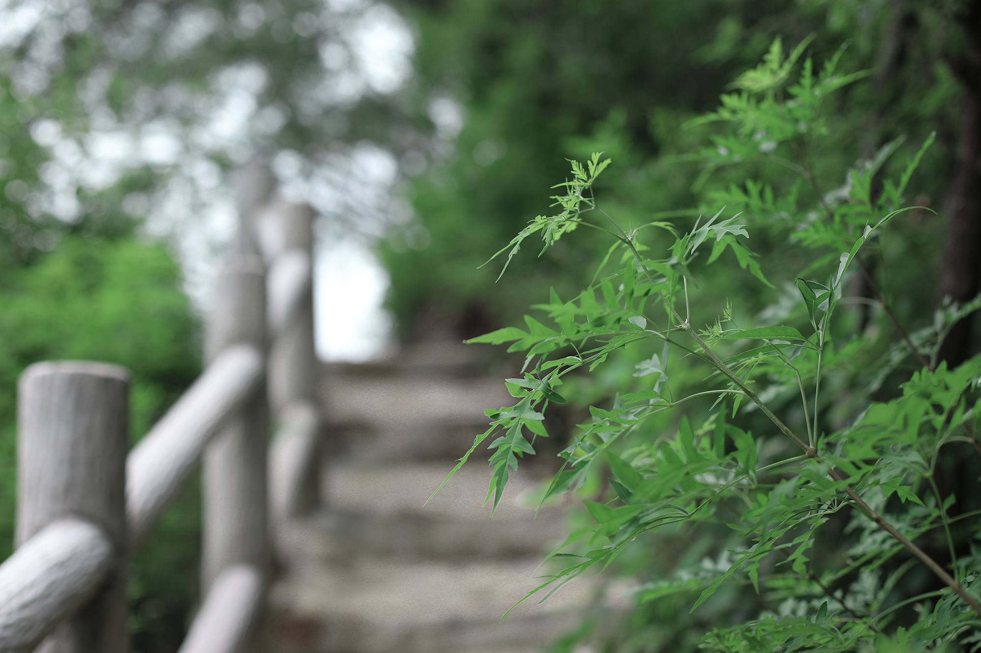 京郊房山登山路线,房山东港登山步道