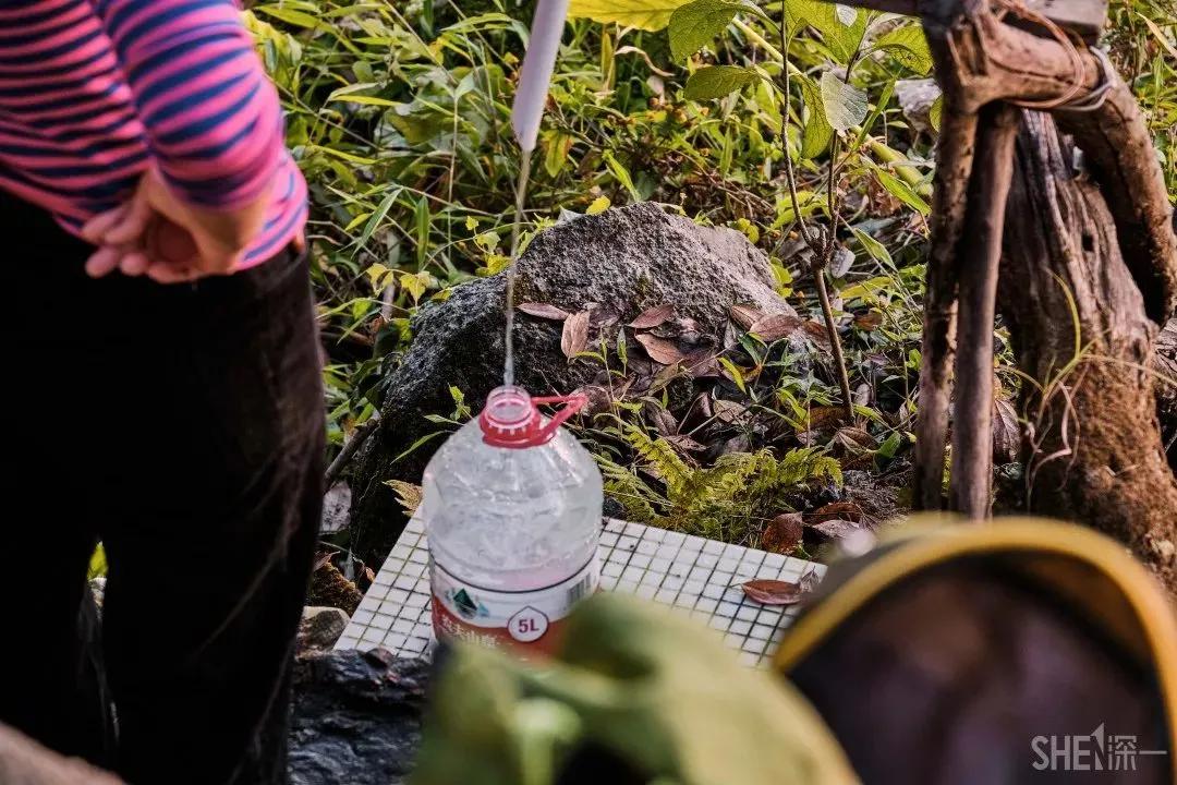 深圳首条手作“原始登山道”，人少好爬景色超美…过年去哪不用愁