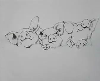 猪年国画：猪的绘画步骤