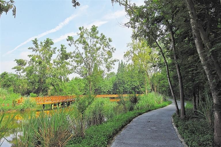 成都城市绿道,成都被山包围