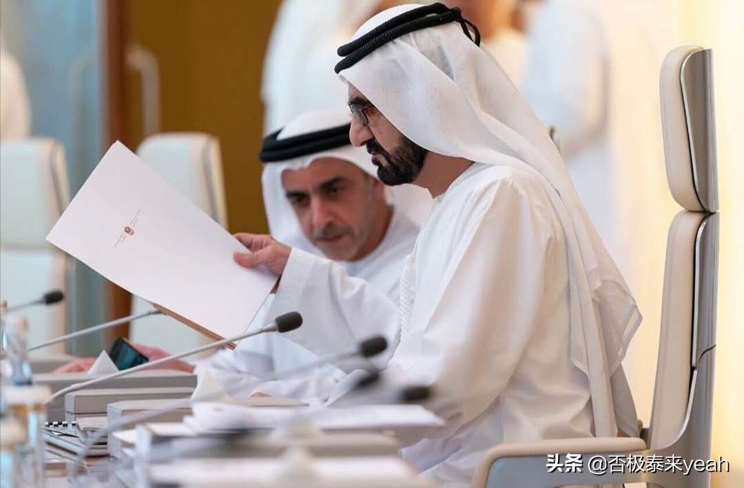 野心之大，一个阿拉伯半岛都装不下——MBZ（下）