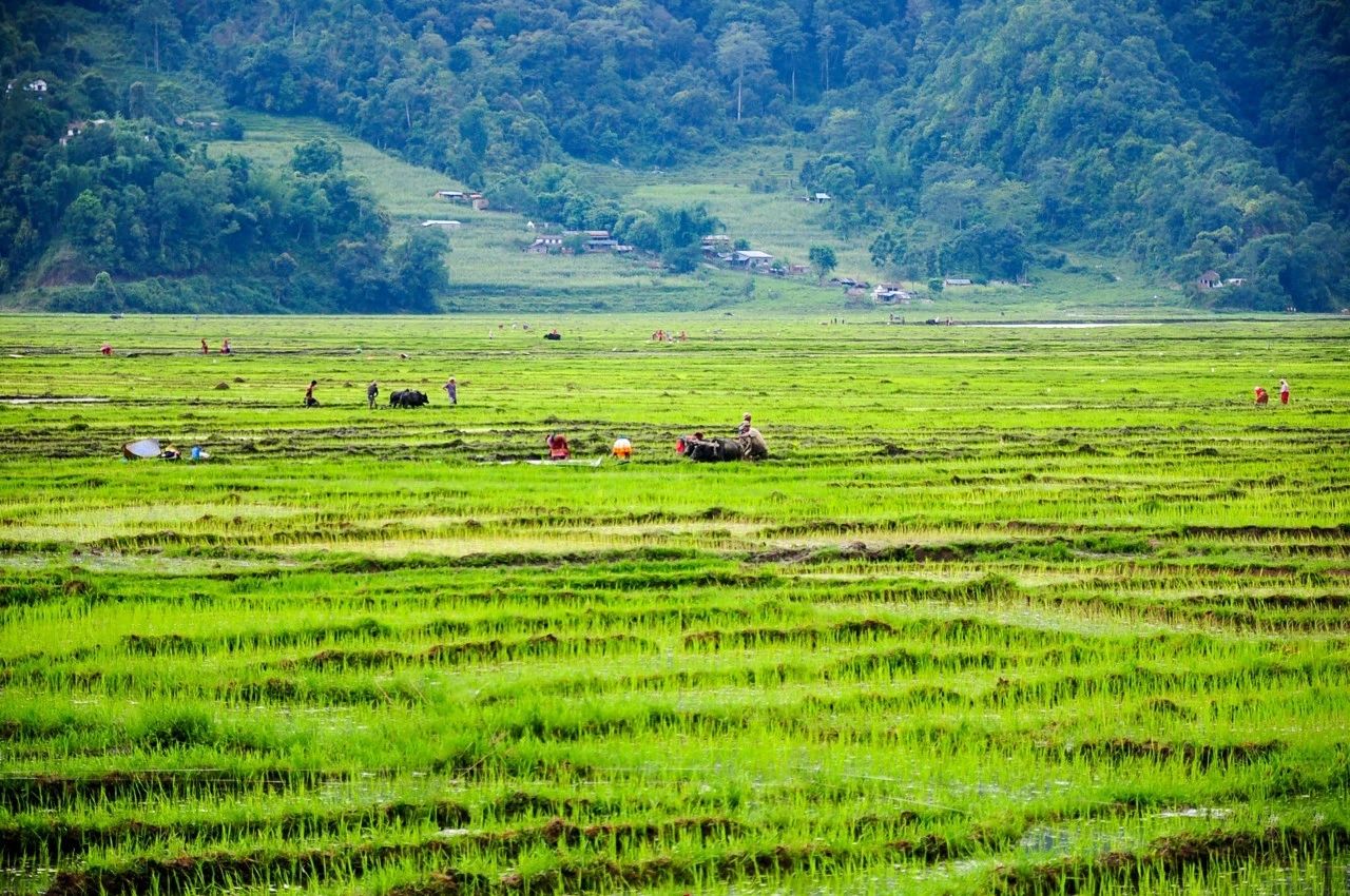 暮春十大经典诗词,七首唯美暮春诗词
