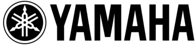 靠“*养包**”员工，逼疯同行！最不务正业的公司，在全球火了100年