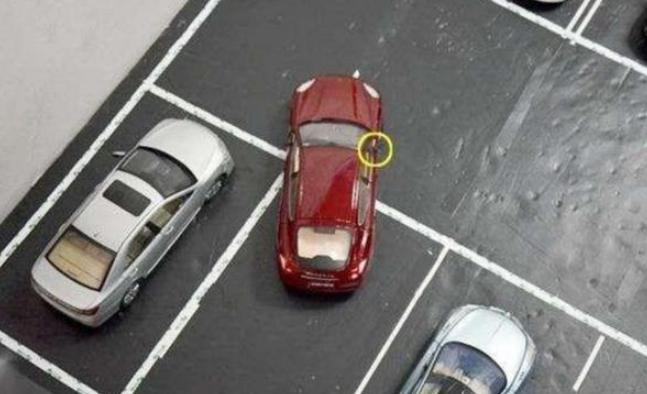 学会这几招倒车再也不怕了,学会这几招倒车入库