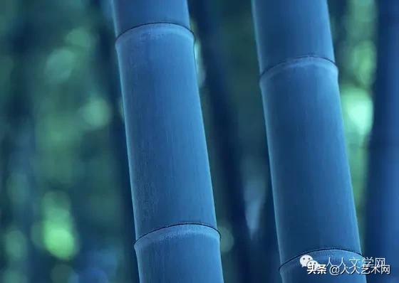 人人图文,人人贷最新事件进展