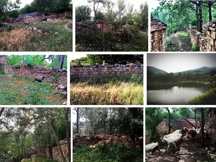 凤凰措古村落,凤凰措古村落设计