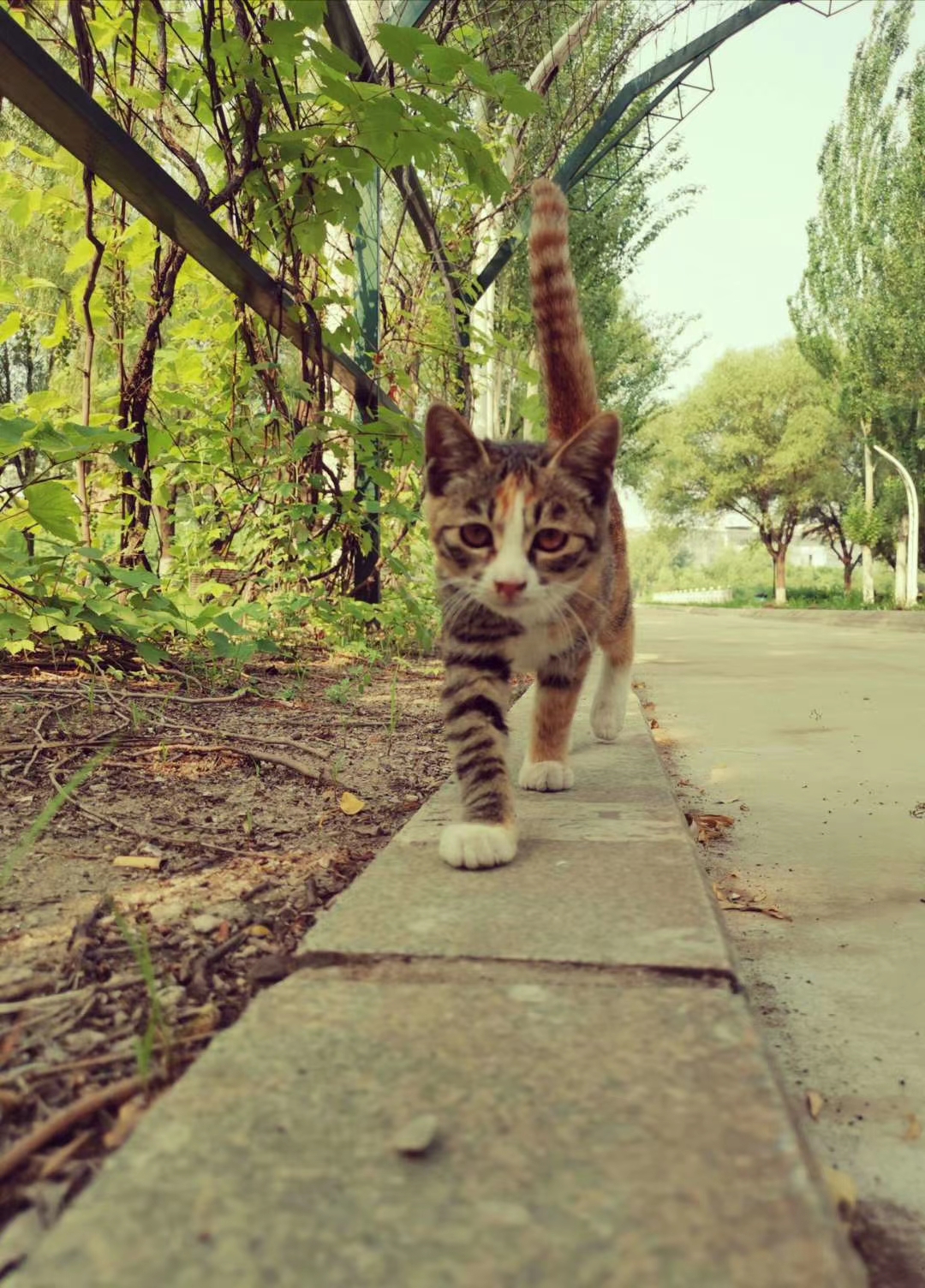 沈阳建筑大学|东北的一所另类大学