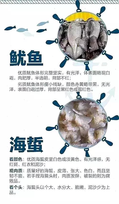 在天津的美食,天津开海美食攻略