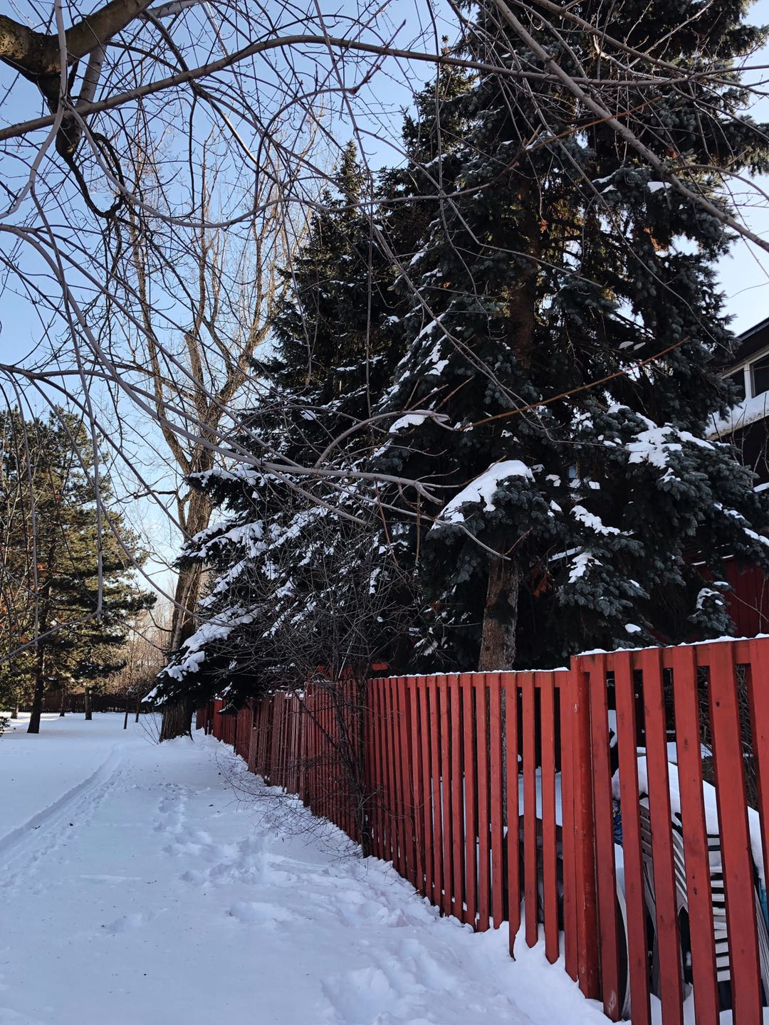 想去加拿大留学找哪个中介可靠,去加拿大留学中介费用一般是多少