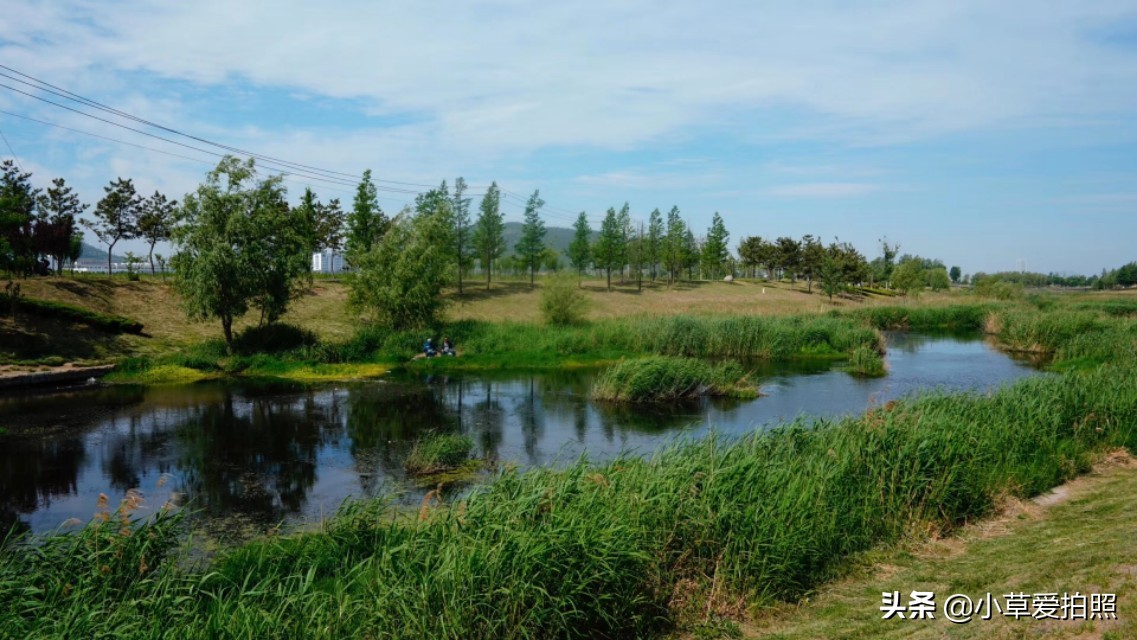 威海十一月羊亭公园,推荐一个好地方威海羊亭公园