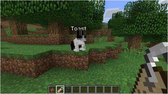 我的世界生物生存合集,我的世界生存最烦人的生物