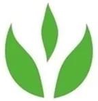 茶为什么要杀青的原因,茶杀青的方式方法