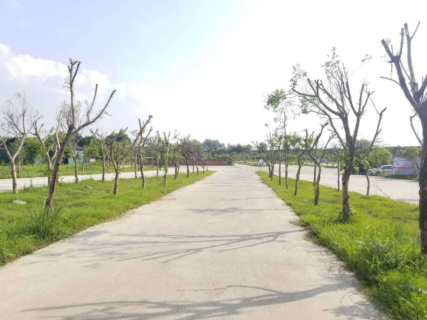 飞越驰骋,龙马精神