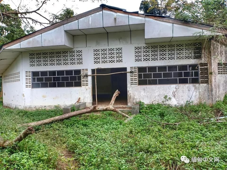 坤沙是怎么当上金三角老大的,金三角大毒枭坤沙传奇的一生