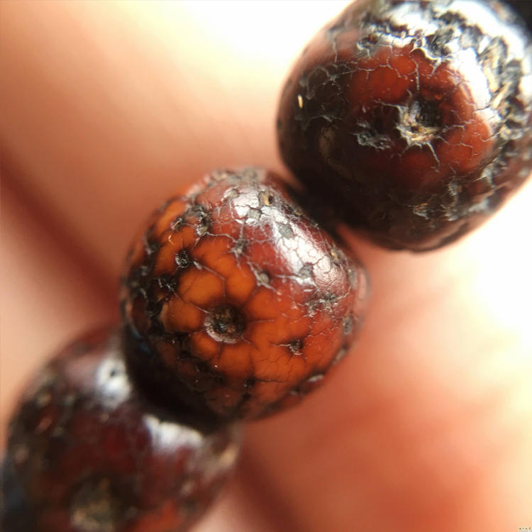 新手推荐的星月菩提,比较靠谱的星月菩提