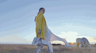 半坡饰族介绍,半坡饰族