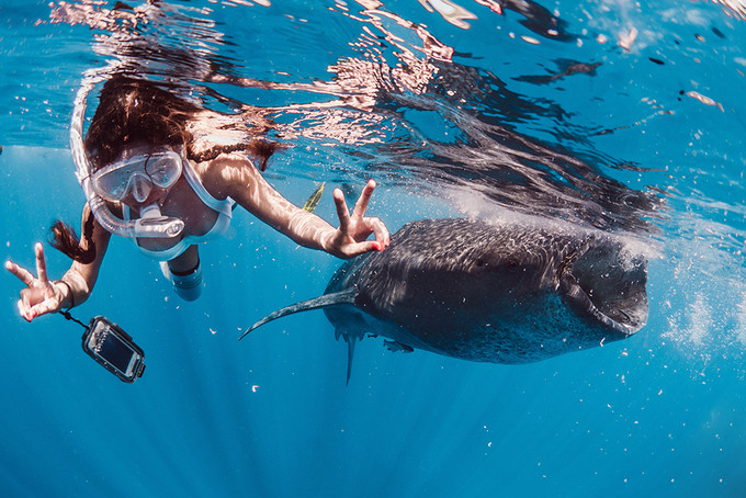 寻求平和宁静,这里就是梦想中的天堂——给你十个去宿务的理由
