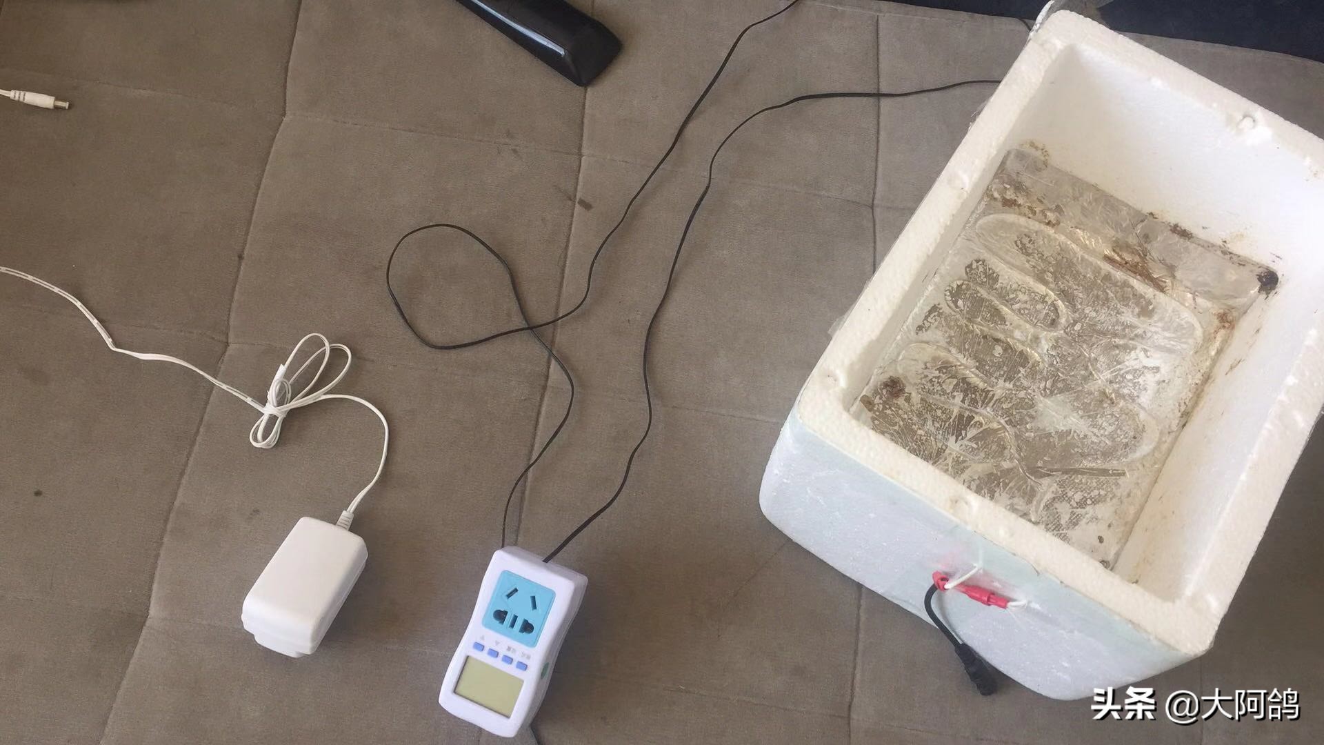 自制鹌鹑蛋简易孵化器,全自动孵化器鹌鹑孵化需要多少天