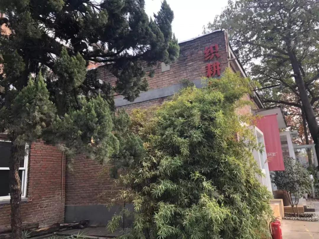 还记得瑞光吗？那个老印刷厂华丽回归，变身成了郑州的“798”！