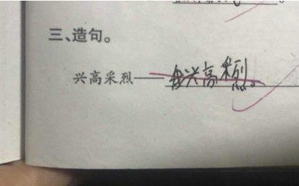 孩子懒的最高境界造句,儿童懒式造句火了