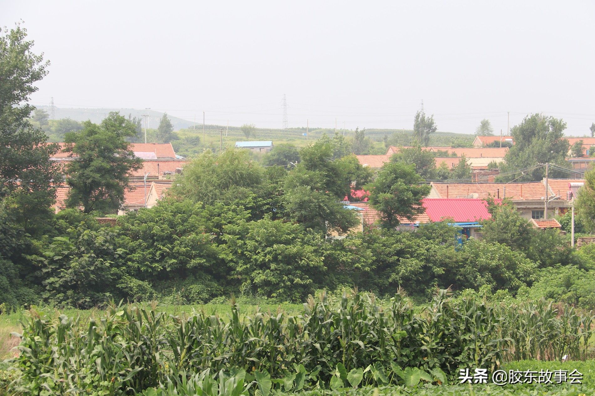 莱阳市胶东乡村游记,航拍胶东丘陵深处的一个小山村