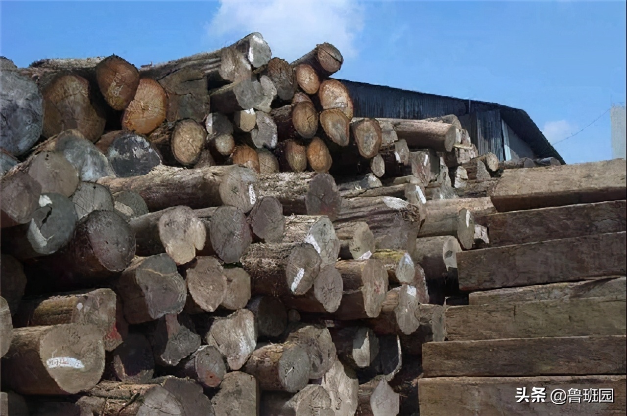 用溴甲烷熏蒸地多长时间效果最佳,溴甲烷熏蒸什么时候取消