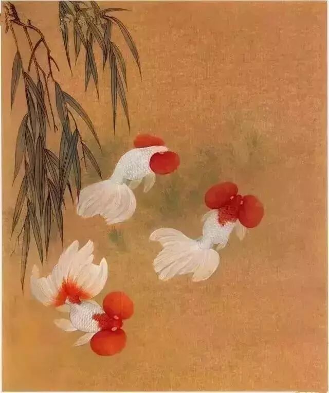 工笔金鱼线稿100例,工笔金鱼图片大全大图