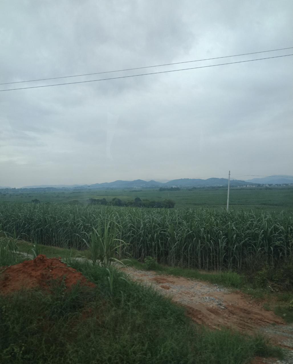 1岁零8个月女童之死：母亲怀孕4月父亲出轨，与父亲及情人在一起时“出事”，新鉴定“符合虐待和*力暴**所致”