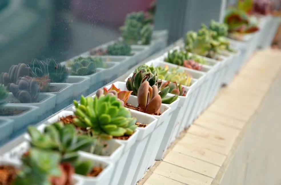 做十年海乘的女生经历分享