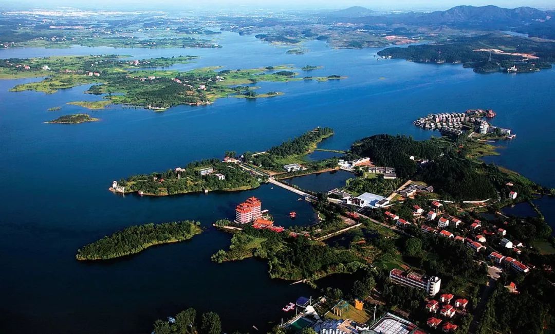 2020武汉大爆发,武汉再次爆发