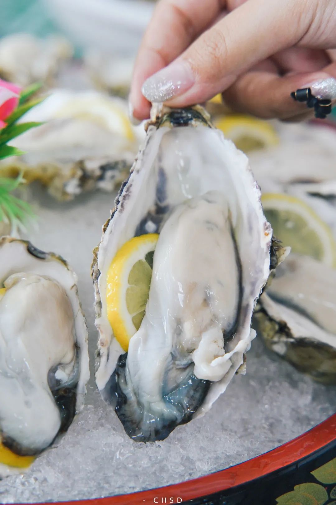 520「本味寒造」来寻味顺德啦！低至44折食全蚝套餐