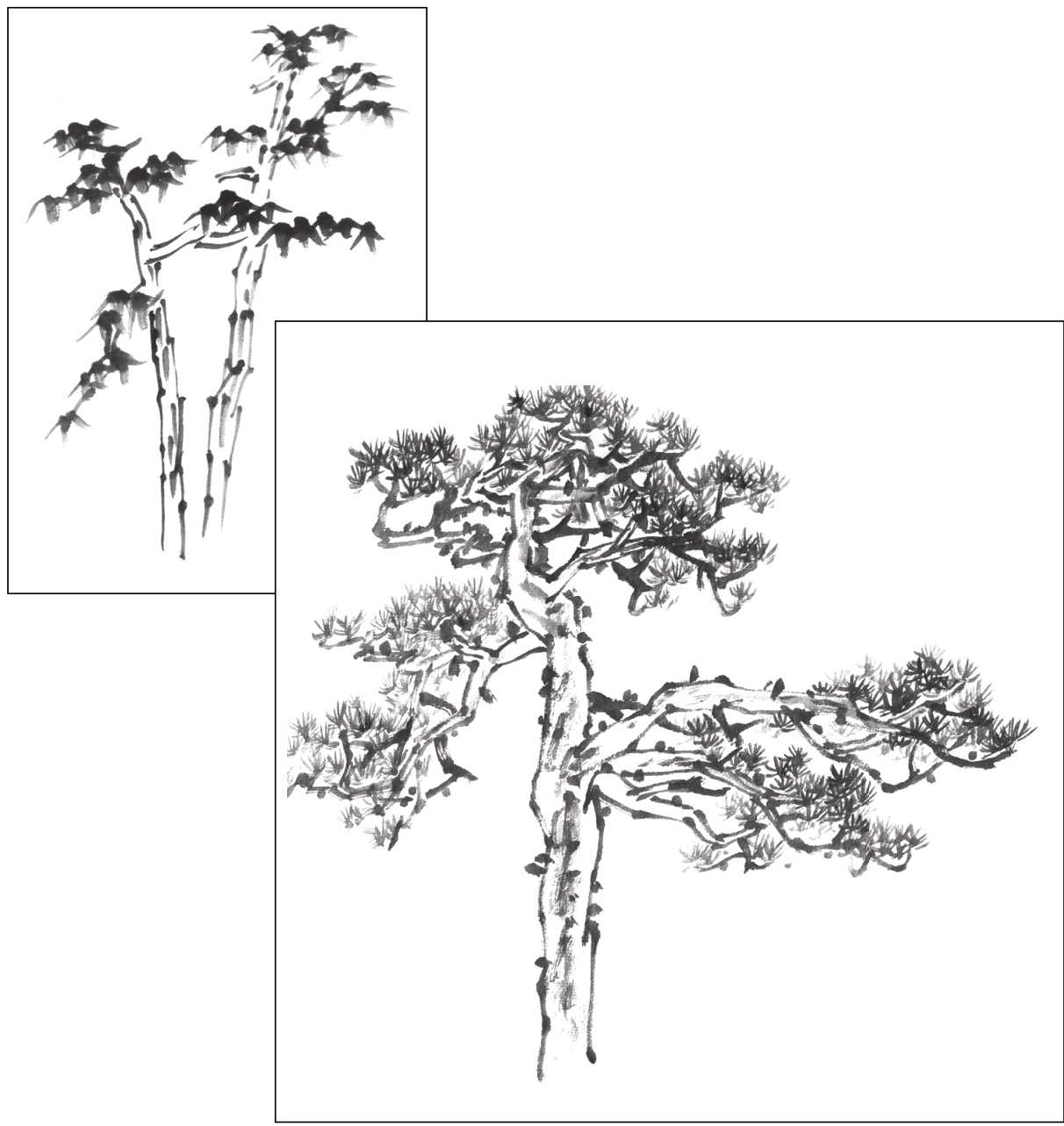 树画简单初学者教程,树画不好看了怎么改