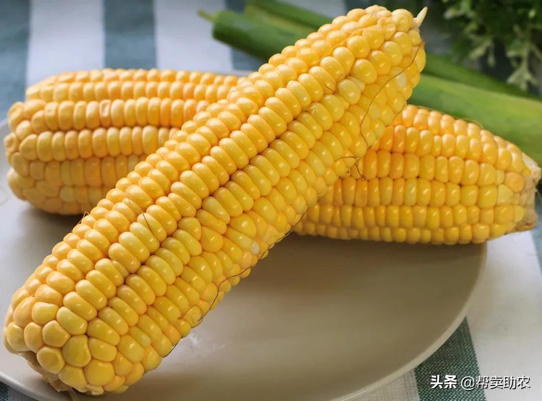 来自云南大山新鲜的橙子,新鲜爆甜水果玉米