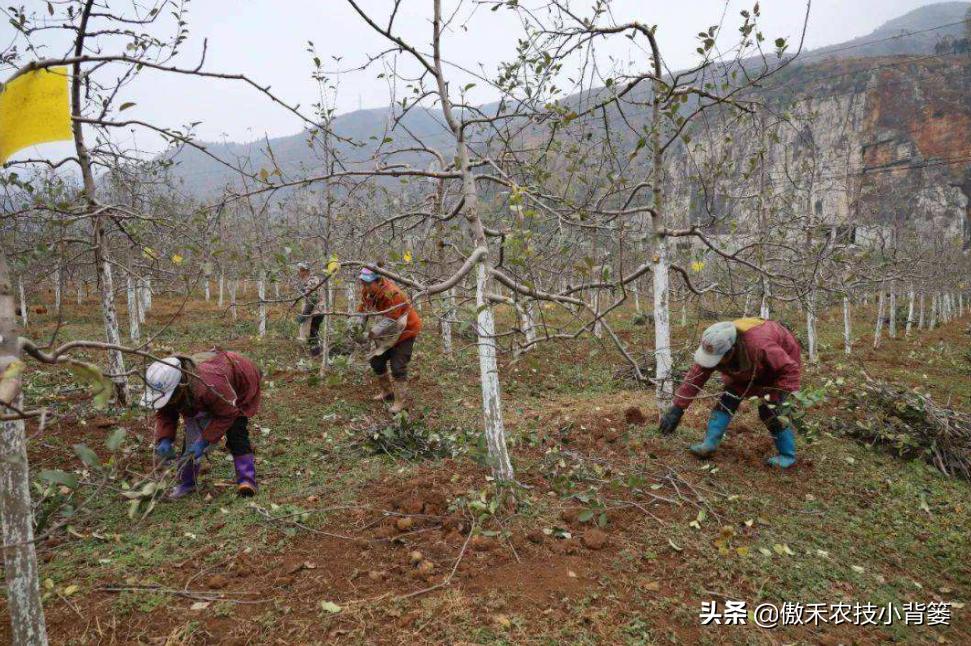 种植的蔬菜有蚜虫怎么治,蔬菜上蚜虫最简单有效的防治方法