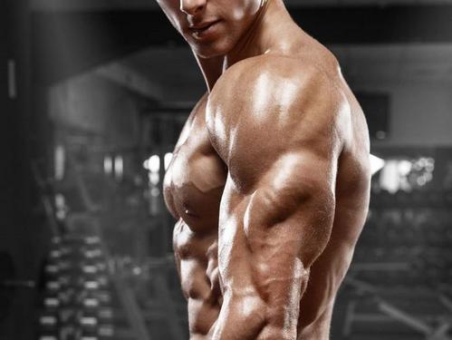 为什么说健身的人身体差,为什么说健身的人是孤独的