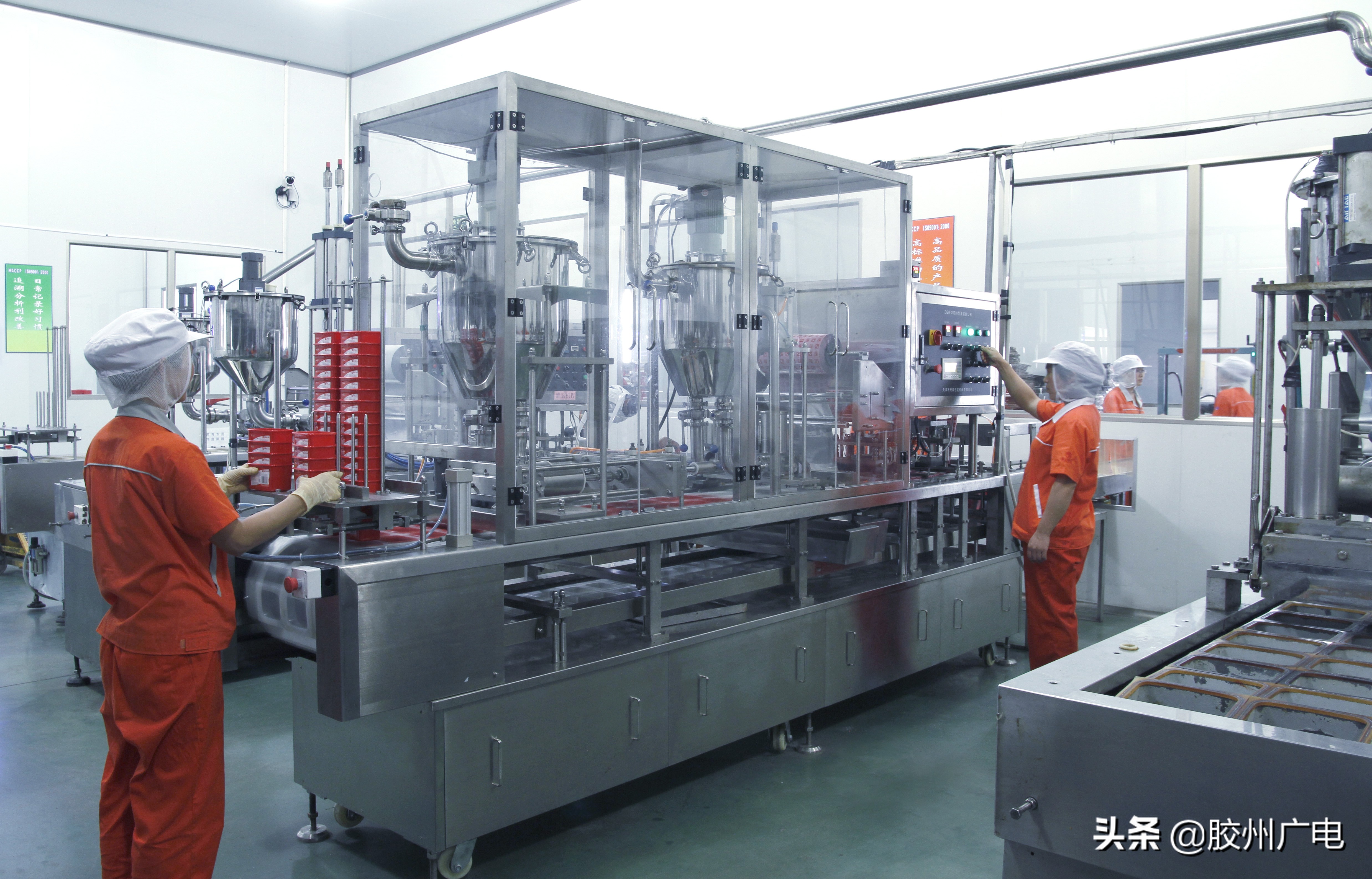 胶州柏兰集团,胶州市柏兰集团